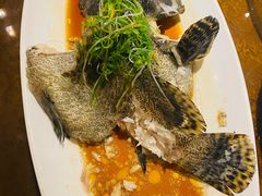 清蒸石斑鱼-达叔香味海鲜(海棠68环球美食街店)