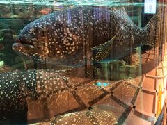 -金翠皇宫粤菜·点心·海鲜(科技园店)