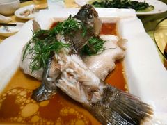 -盛记顺德高佬猪杂粥