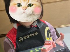 -海底捞火锅(曹安公路店)