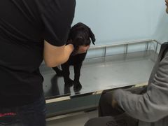 -中农大我爱我爱24h动物医院·中医针灸·猫专科·骨科医疗中心(双井店)