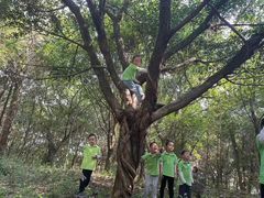 -宾果蒙特梭利托育儿童之家幼儿园(爱琴海店)