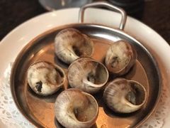 -金蜗牛