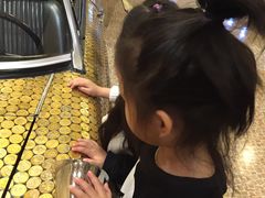 -信不信由你博物馆