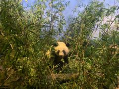 -陕西自然博物馆