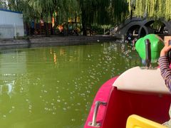-团结湖公园