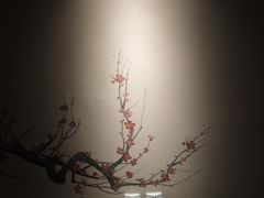 -正清和·推拿养生(黑石礁中心店)