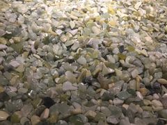 -汤沐邑温泉会馆
