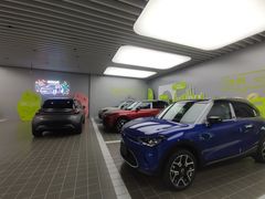 -上海浦东smart汽车全功能店(金桥店)