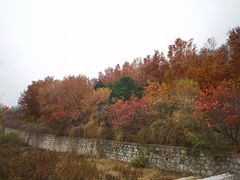-北京凤凰岭