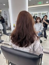 -HaLo hair studio