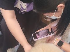 -宠颐生斯嘉宠物医院·急重症·心内科(谷阳北路分院)