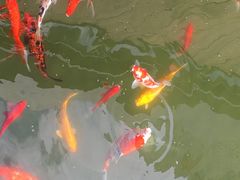 -上海虹桥宾馆(郁锦香品牌酒店)