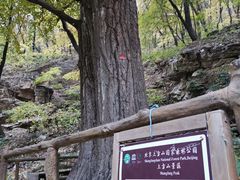 -北京上方山国家森林公园