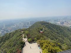 -杭州半山国家森林公园