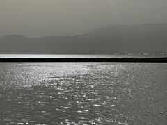 -野鸭湖国家湿地公园