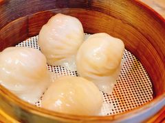 -誉八仙茶室酒楼(新天地店)