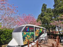 -东平国家森林公园