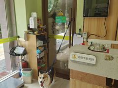 -瑞鹏宠物医院·夜间急症·心超·猫科(祖庙分店)
