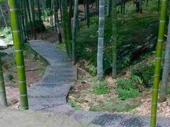 -山沟沟景区