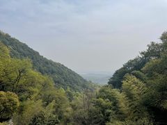 -韬光茶庵