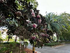 -清水湾旅游度假区