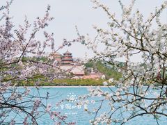 -颐和园