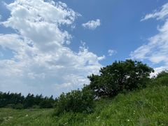 -白草畔自然风景区