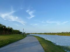 -春花秋色城市公园