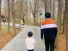 -溱湖国家湿地公园