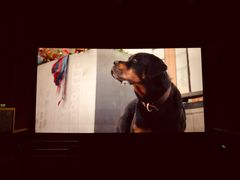 -红星电影世界开元地中海店(RealD杜比全景声)