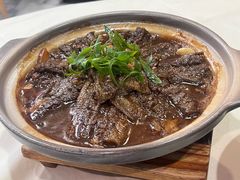 -丁老爷子苏香圆