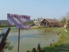 -蔡家宅