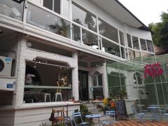 -有猫主题·治愈系猫咖(曾厝垵店)