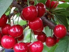 -大泽山风景名胜区