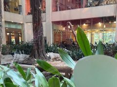 -白虎自助餐厅·真老虎·景观自助餐厅(广州长隆酒店)