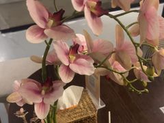 -施奈儿.洗头頭療.按摩SPA.采耳(上梅林店)