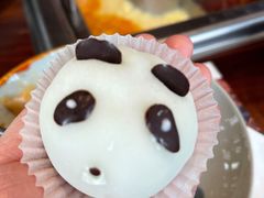 熊猫大福-大隐·成都火锅Bistro(合生麒麟新天地店)