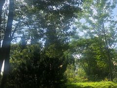 -白鹭湾湿地公园