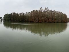 -上海海湾国家森林公园