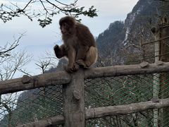 -峨眉山风景名胜区