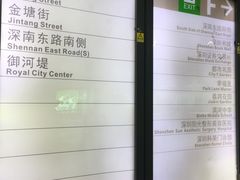 -大剧院(地铁站)