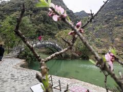 -靖西鹅泉风景区