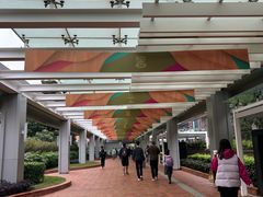 -香港大学