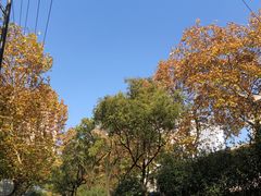 -仙峰天然面包(迎宾路店)