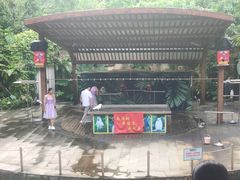 -东部华侨城