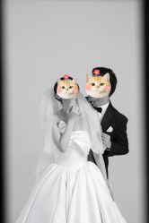 -CD视觉婚纱摄影
