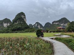 -靖西鹅泉风景区