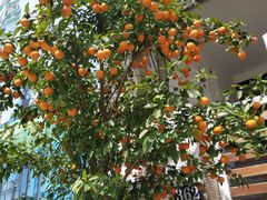 -味多美蛋糕(耿庄店)