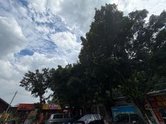 -火炉山森林公园